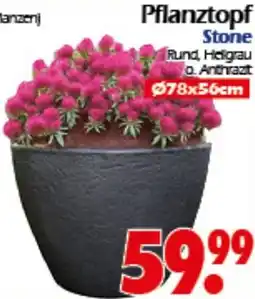 Wreesmann Pflanztopf Stone Angebot