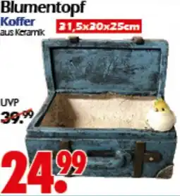 Wreesmann Blumentopf Koffer Angebot