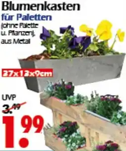 Wreesmann Blumenkasten für Paletten Angebot