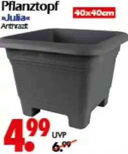 Wreesmann Pflanztopf Julia Angebot