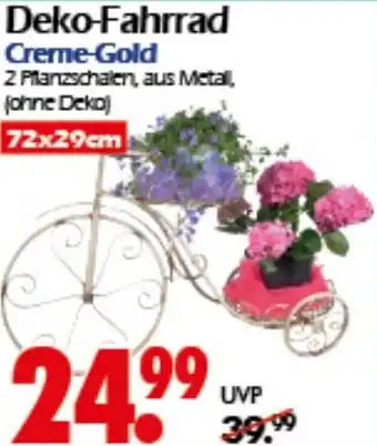 Wreesmann Deko-Fahrrad Angebot
