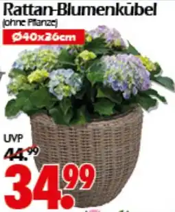 Wreesmann Rattan-Blumenkübel Angebot