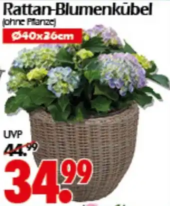 Wreesmann Rattan-Blumenkübel Angebot