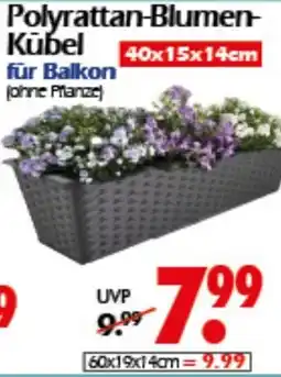Wreesmann Polyrattan-Blumen Kūbel Angebot