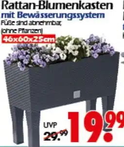 Wreesmann Rattan-Blumenkasten Angebot