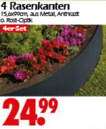 Wreesmann Rasenkanten Angebot