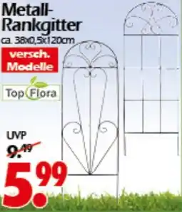 Wreesmann Metall Rankgitter Angebot
