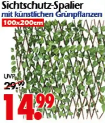 Wreesmann Sichtschutz-Spalier Angebot