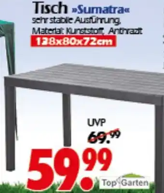 Wreesmann Tisch Sumatra Angebot