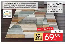 Zurbrüggen Taurus pastell Angebot