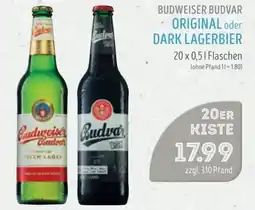 Edeka Struve BUDWEISER BUDVAR ORIGINAL oder DARK LAGERBIER Angebot