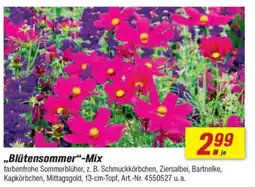 toom Baumarkt „,Blütensommer"-Mix Angebot