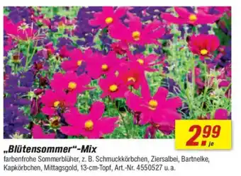 toom Baumarkt „,Blütensommer"-Mix Angebot
