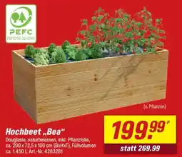 toom Baumarkt Hochbeet „Bea" Angebot