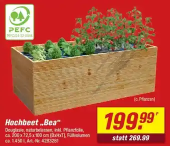 toom Baumarkt Hochbeet „Bea" Angebot