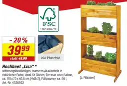 toom Baumarkt Hochbeet „Lisa" Angebot
