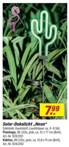 toom Baumarkt Solar-Dekolicht ,,Neon" Angebot