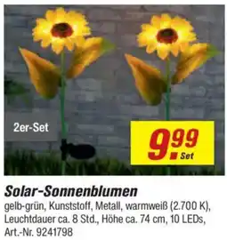 toom Baumarkt Solar-Sonnenblumen 2er-Set Angebot