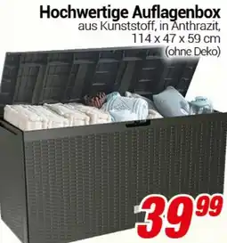 CENTERSHOP Hochwertige Auflagenbox Angebot