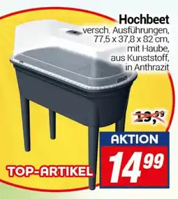 CENTERSHOP Hochbeet Angebot