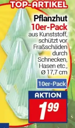 CENTERSHOP Pflanzhut 10er-Pack Angebot