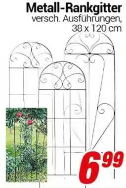 CENTERSHOP Metall-Rankgitter Angebot