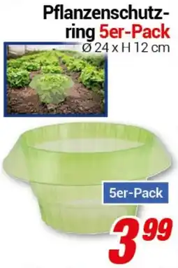 CENTERSHOP Pflanzenschutz- ring 5er-Pack Angebot