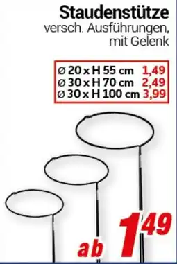 CENTERSHOP Staudenstütze Angebot