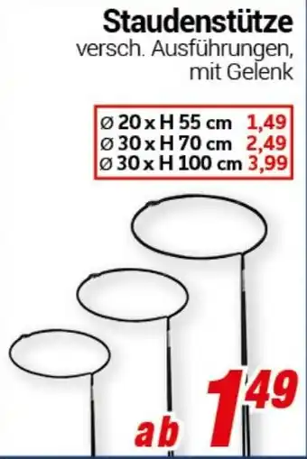 CENTERSHOP Staudenstütze Angebot
