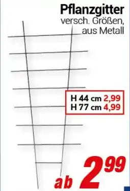 CENTERSHOP Pflanzgitter Angebot