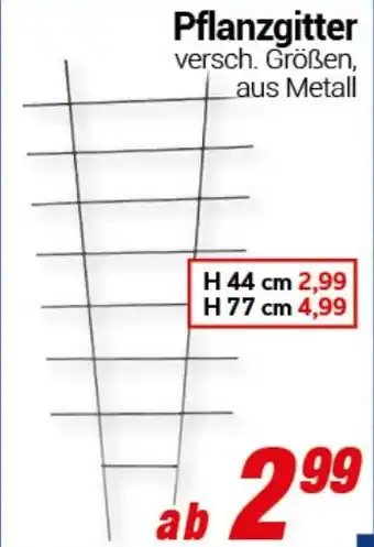 CENTERSHOP Pflanzgitter Angebot