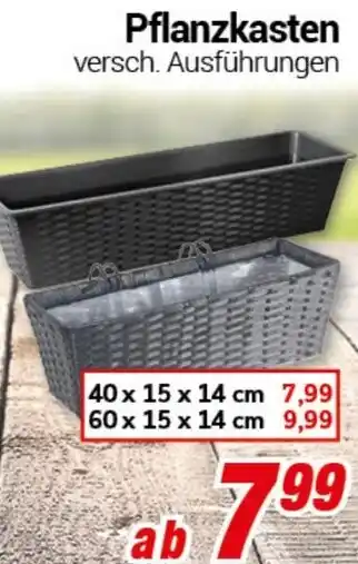 CENTERSHOP Pflanzkasten Angebot