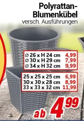 CENTERSHOP Polyrattan- Blumenkübel Angebot