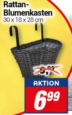 CENTERSHOP Rattan- Blumenkasten Angebot