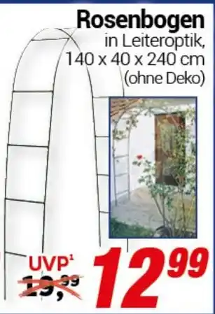 CENTERSHOP Rosenbogen Angebot