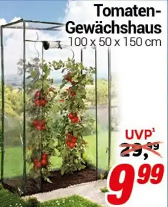 CENTERSHOP Tomaten- Gewächshaus Angebot