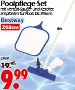 Wreesmann Bestway Poolpflege-Set Angebot