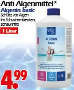 Wreesmann Well san Anti Algenmittel Angebot