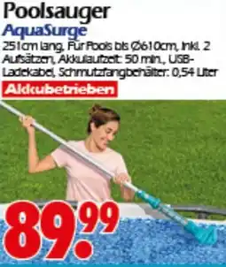 Wreesmann Poolsauger AquaSurge Angebot