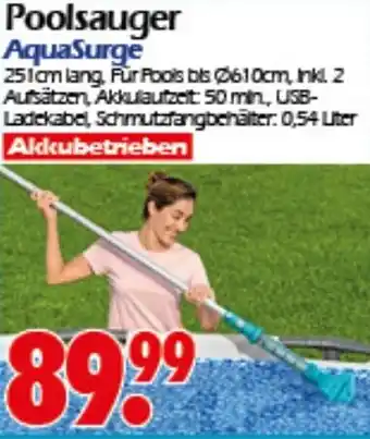 Wreesmann Poolsauger AquaSurge Angebot