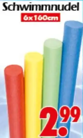 Wreesmann Schwimmnudel Angebot