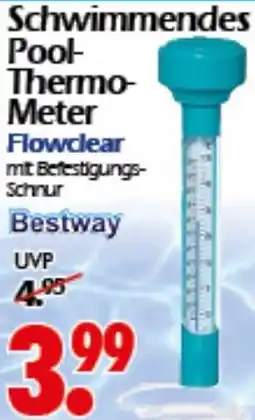 Wreesmann Bestway Schwimmendes Pool Thermo Meter Flowclear Angebot