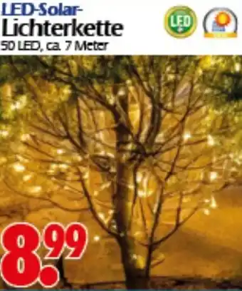 Wreesmann LED-Solar Lichterkette Angebot