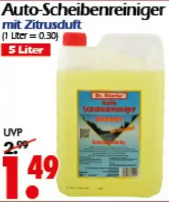Wreesmann Auto-Scheibenreiniger Angebot