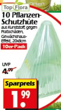 Wreesmann 10 Pflanzen Schutzhüte Angebot