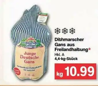 Famila Nord Ost Ditmarscher Gans Aus Freilandhaltung Angebot