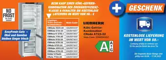 K+B Expert LIEBHERR Kühl-Gefrier Kombination CNsda 5723-22 Angebot