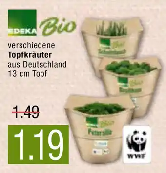 Marktkauf Edeka Bio Topfkräuter Angebot