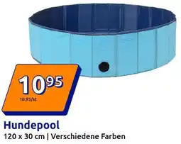 Action Hundepool Angebot