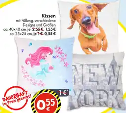 TEDi Kissen Angebot